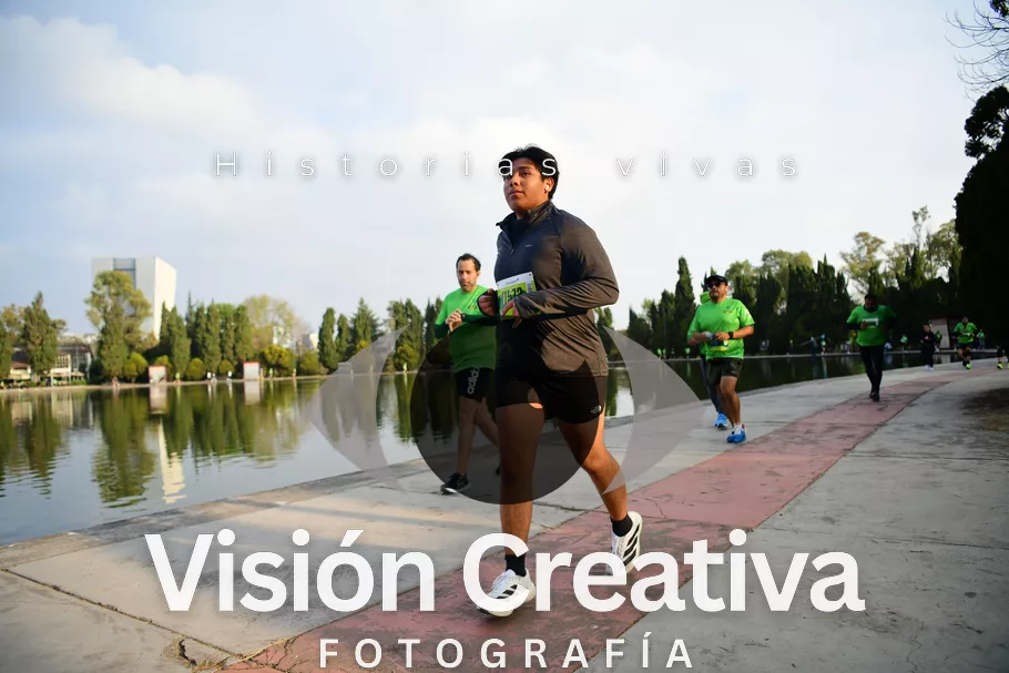 Foto del evento Shrek - CDMX 2026