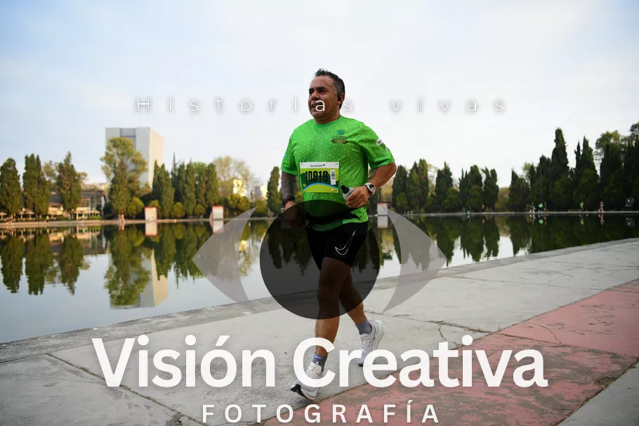 Foto del evento Shrek - CDMX 2026