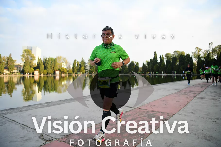 Foto del evento Shrek - CDMX 2026