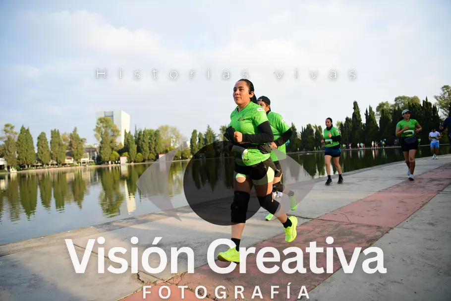 Foto del evento Shrek - CDMX 2026