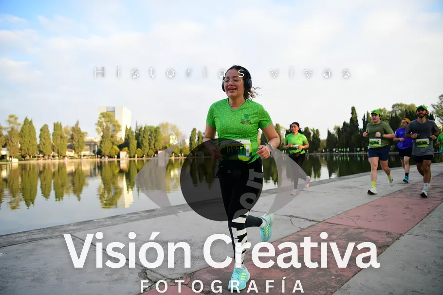 Foto del evento Shrek - CDMX 2026
