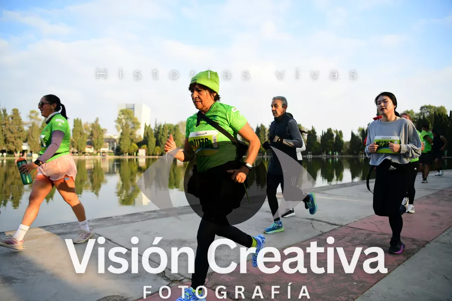 Foto del evento Shrek - CDMX 2026