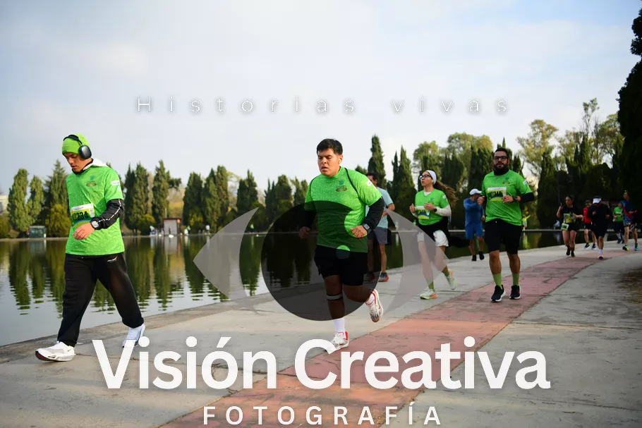 Foto del evento Shrek - CDMX 2026