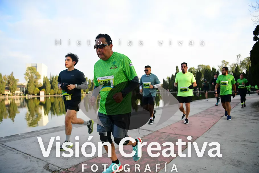Foto del evento Shrek - CDMX 2026