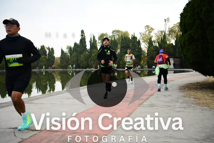 Foto del evento Shrek - CDMX 2026