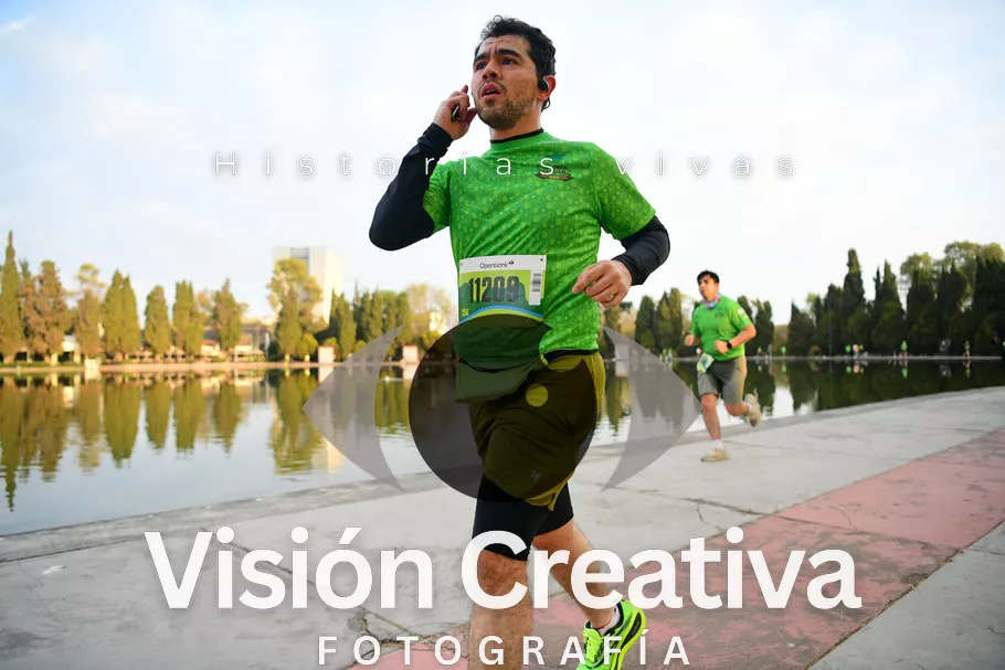 Foto del evento Shrek - CDMX 2026