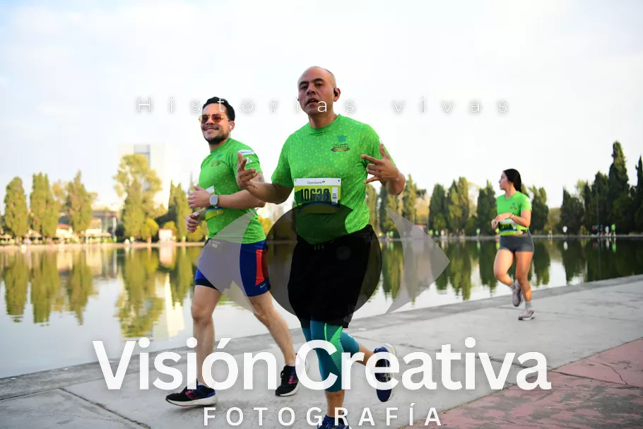 Foto del evento Shrek - CDMX 2026