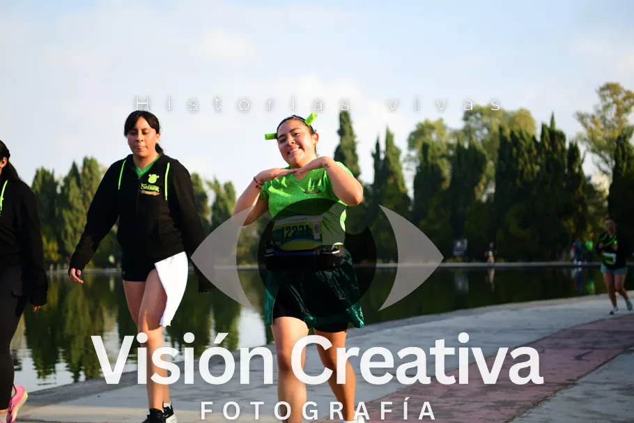 Foto del evento Shrek - CDMX 2026