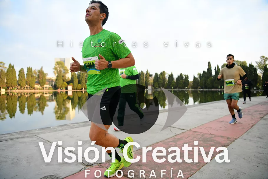 Foto del evento Shrek - CDMX 2026