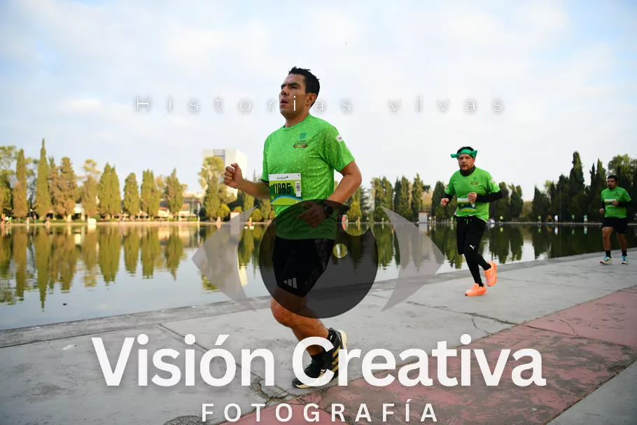 Foto del evento Shrek - CDMX 2026