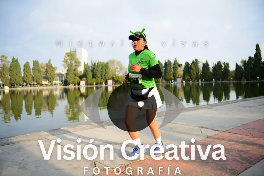 Foto del evento Shrek - CDMX 2026