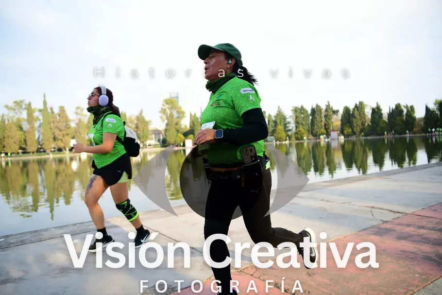 Foto del evento Shrek - CDMX 2026