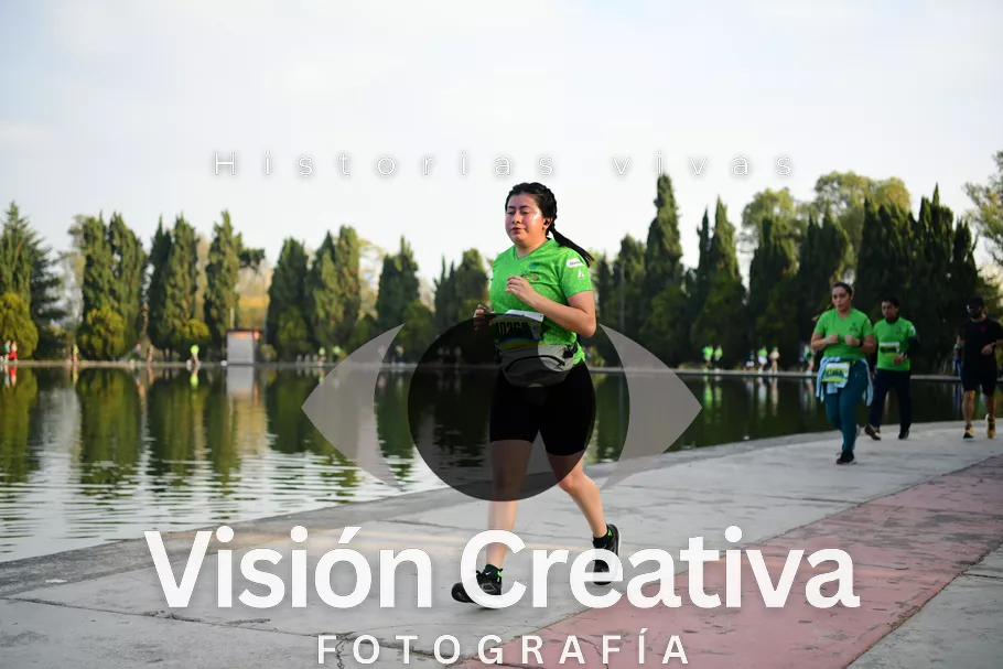 Foto del evento Shrek - CDMX 2026