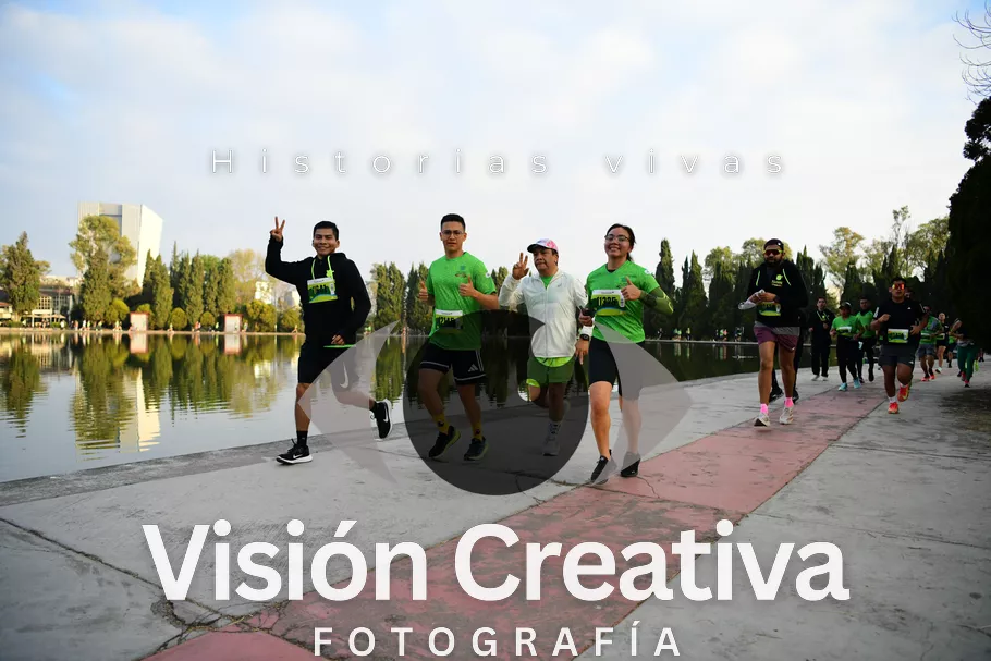 Foto del evento Shrek - CDMX 2026