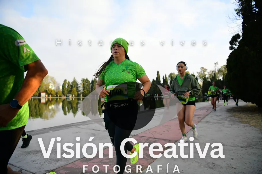 Foto del evento Shrek - CDMX 2026