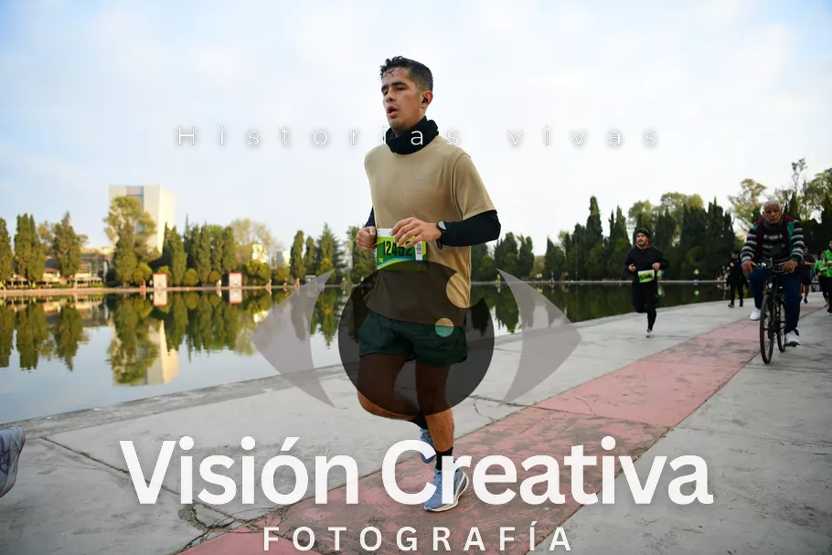 Foto del evento Shrek - CDMX 2026