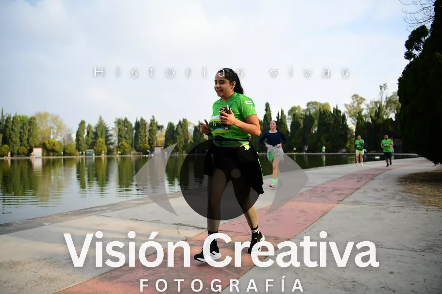 Foto del evento Shrek - CDMX 2026