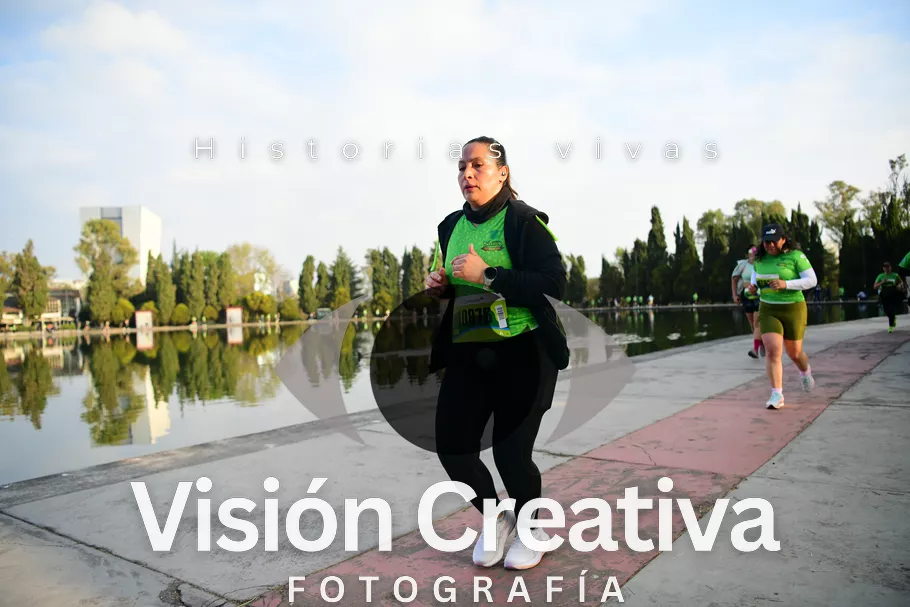 Foto del evento Shrek - CDMX 2026