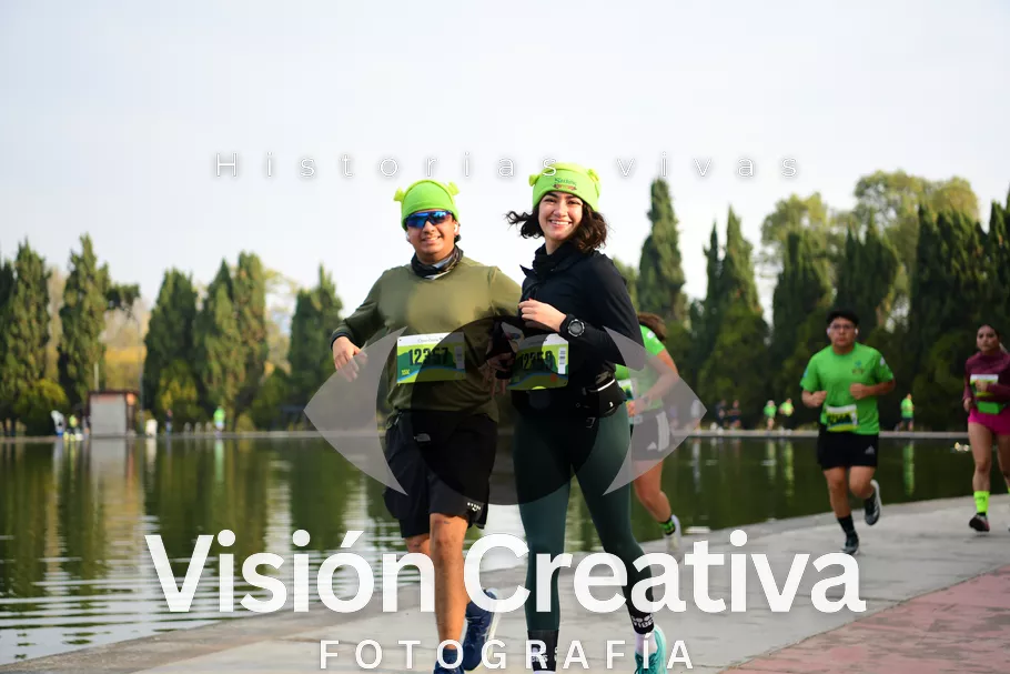 Foto del evento Shrek - CDMX 2026
