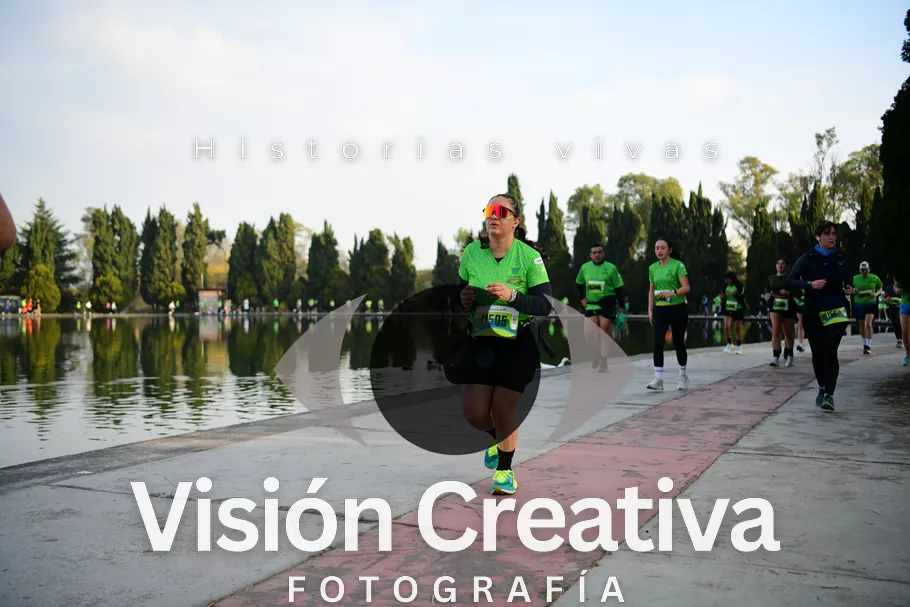 Foto del evento Shrek - CDMX 2026