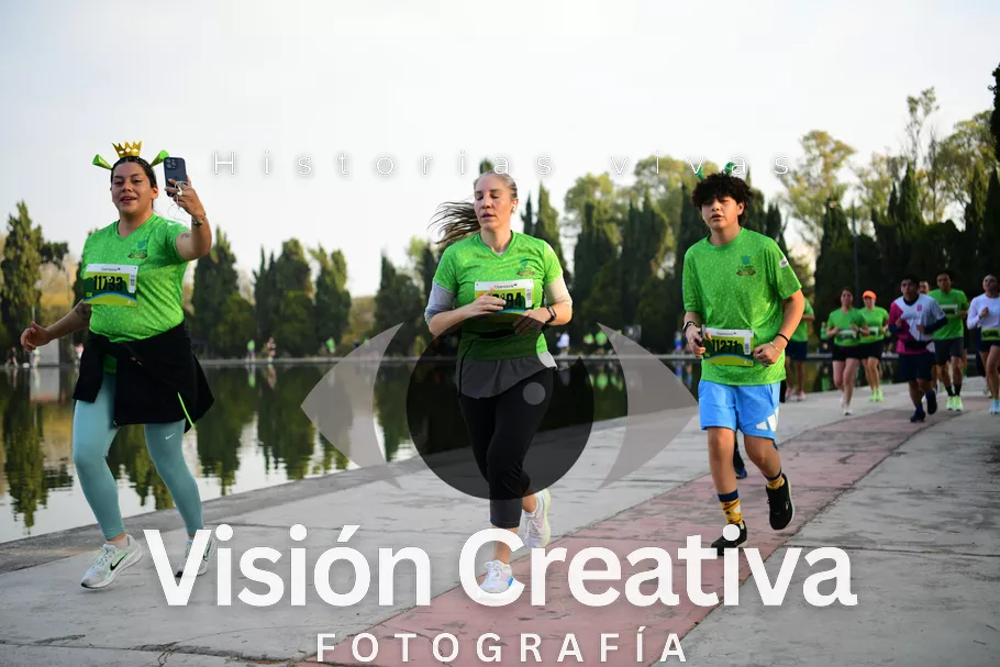 Foto del evento Shrek - CDMX 2026