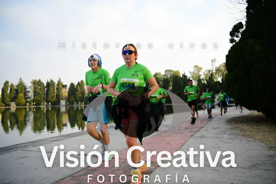 Foto del evento Shrek - CDMX 2026