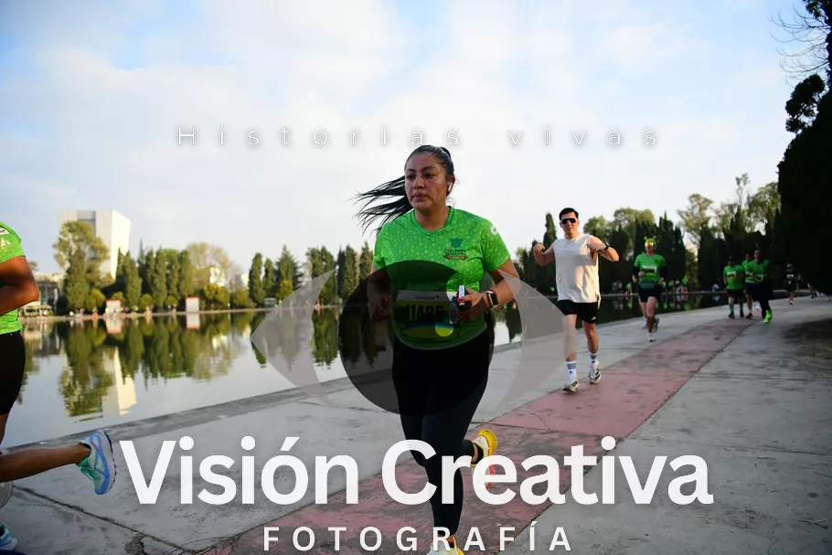Foto del evento Shrek - CDMX 2026