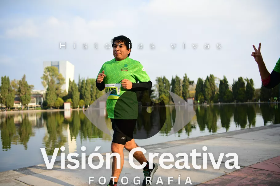 Foto del evento Shrek - CDMX 2026