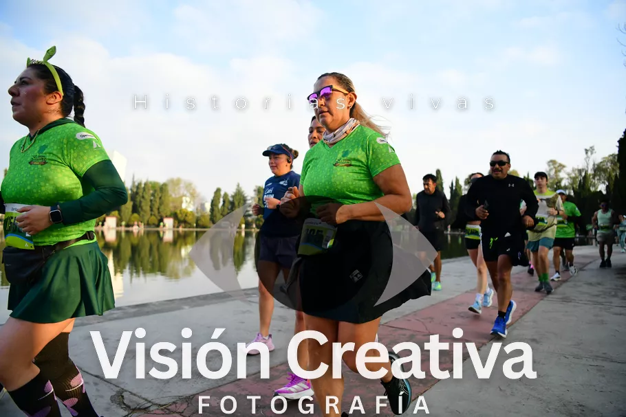 Foto del evento Shrek - CDMX 2026