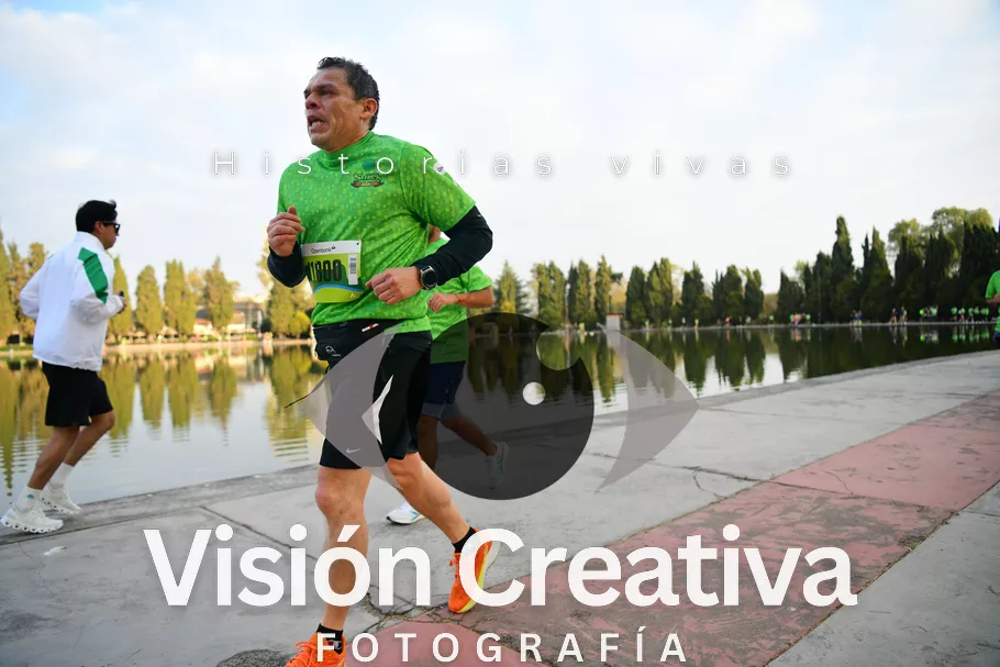 Foto del evento Shrek - CDMX 2026