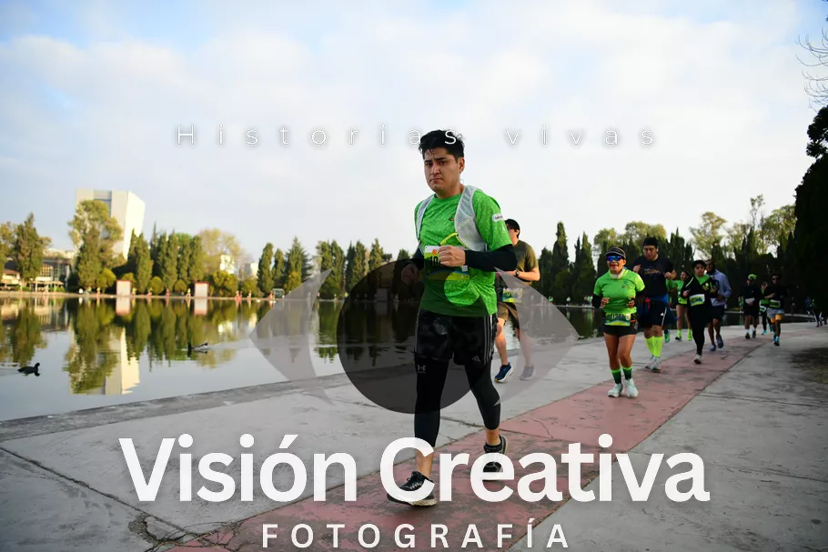 Foto del evento Shrek - CDMX 2026