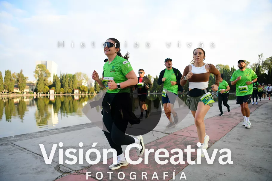 Foto del evento Shrek - CDMX 2026