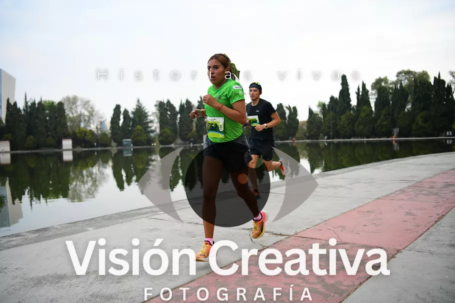 Foto del evento Shrek - CDMX 2026