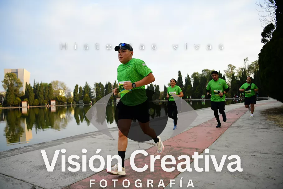 Foto del evento Shrek - CDMX 2026