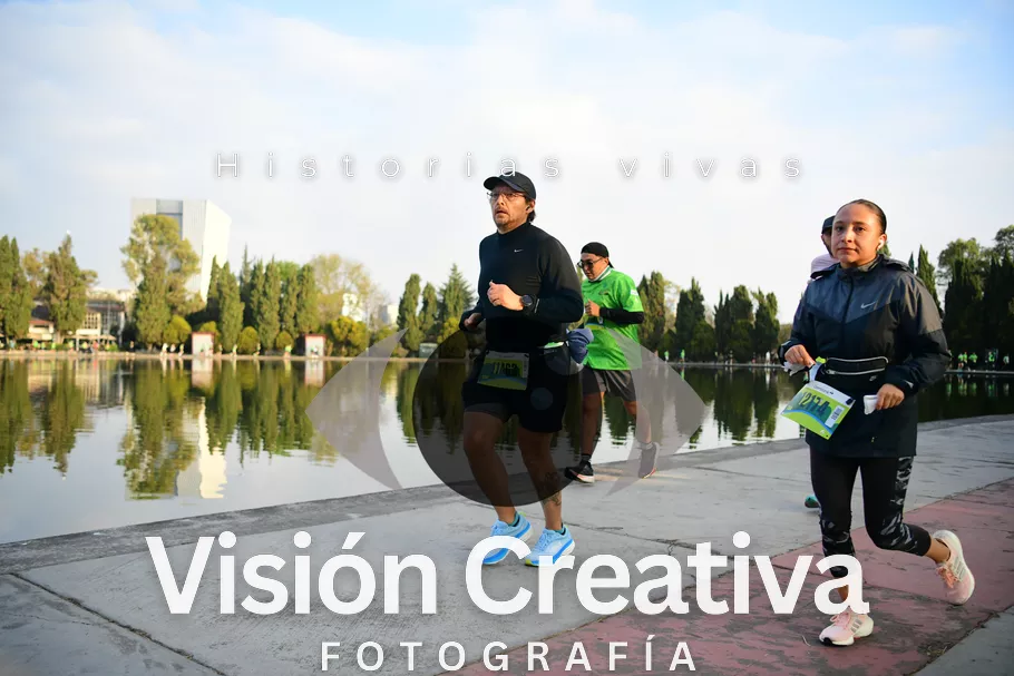 Foto del evento Shrek - CDMX 2026