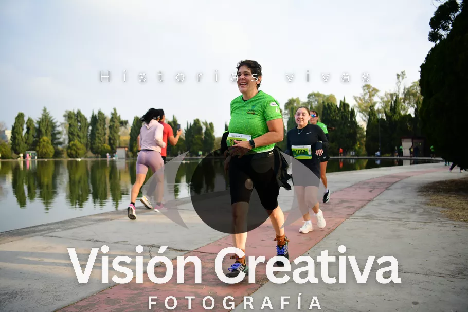 Foto del evento Shrek - CDMX 2026