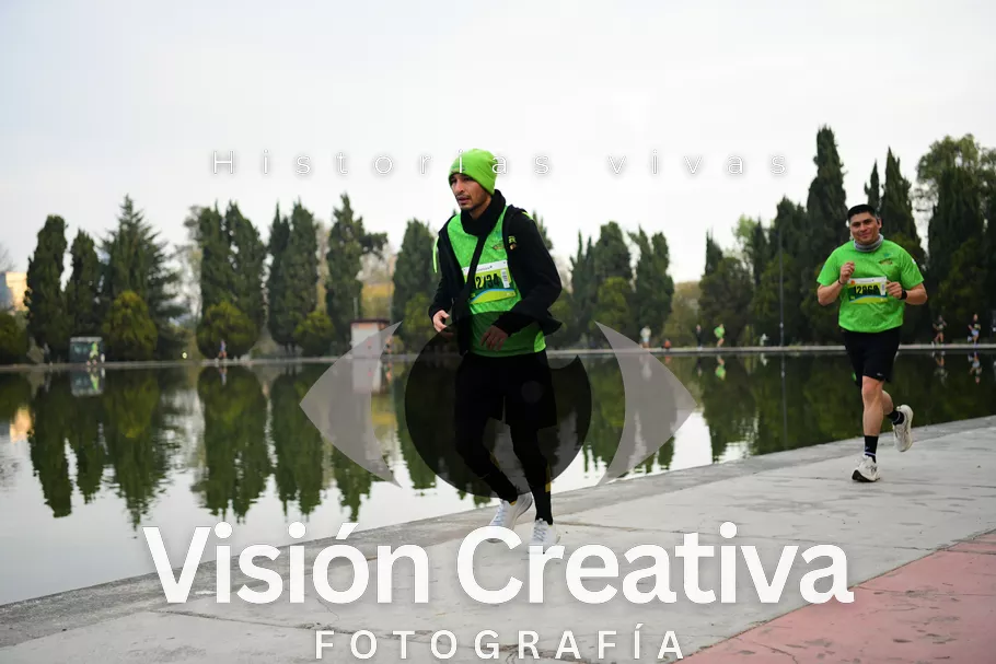 Foto del evento Shrek - CDMX 2026