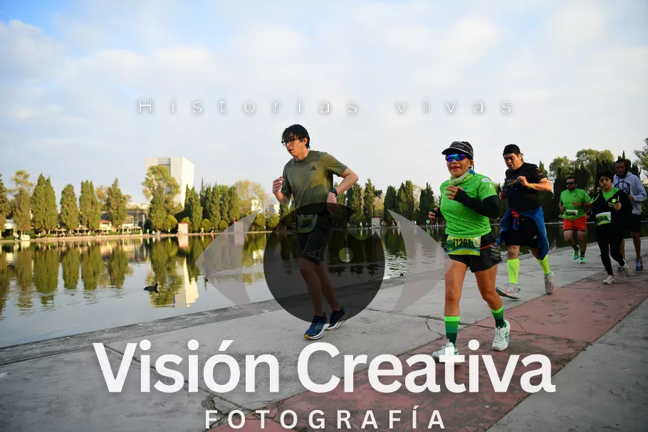 Foto del evento Shrek - CDMX 2026