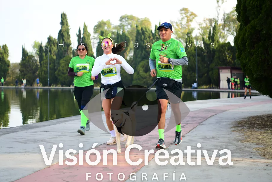 Foto del evento Shrek - CDMX 2026