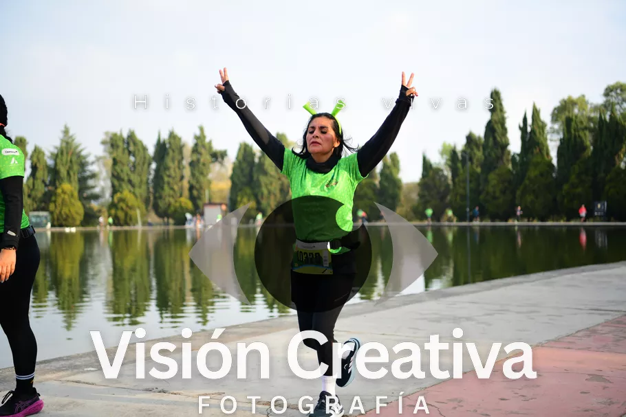 Foto del evento Shrek - CDMX 2026