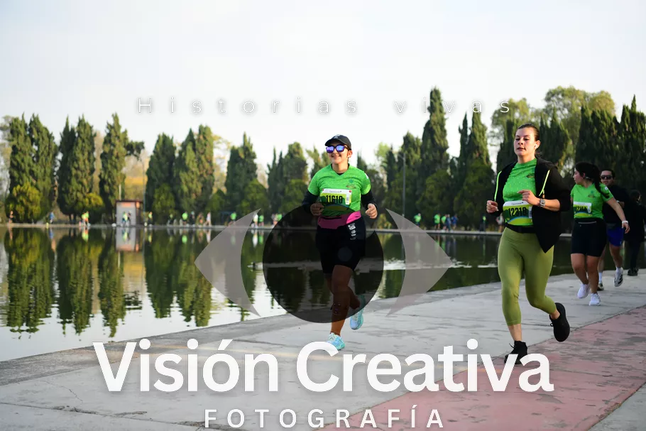 Foto del evento Shrek - CDMX 2026