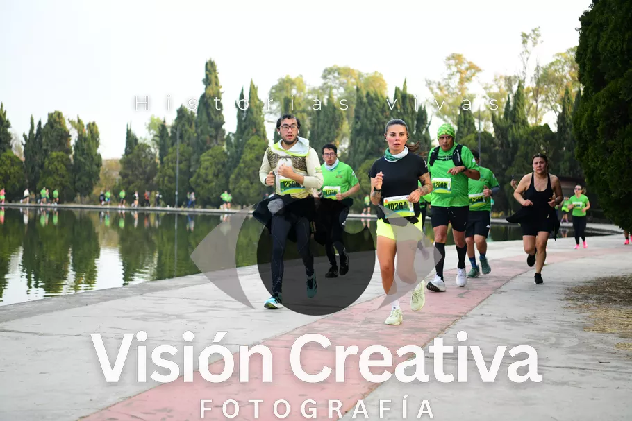 Foto del evento Shrek - CDMX 2026