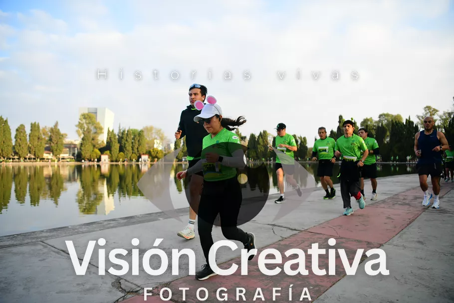 Foto del evento Shrek - CDMX 2026