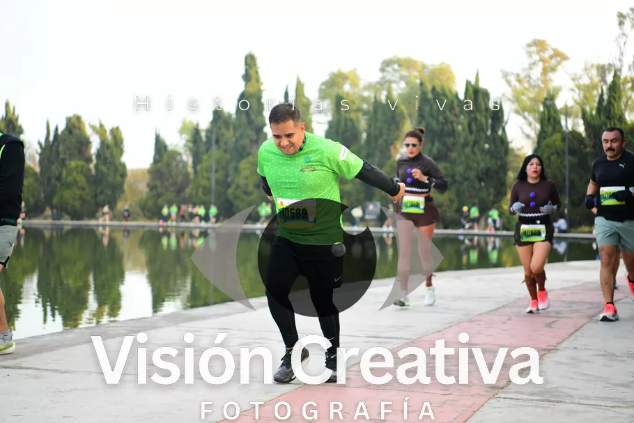 Foto del evento Shrek - CDMX 2026