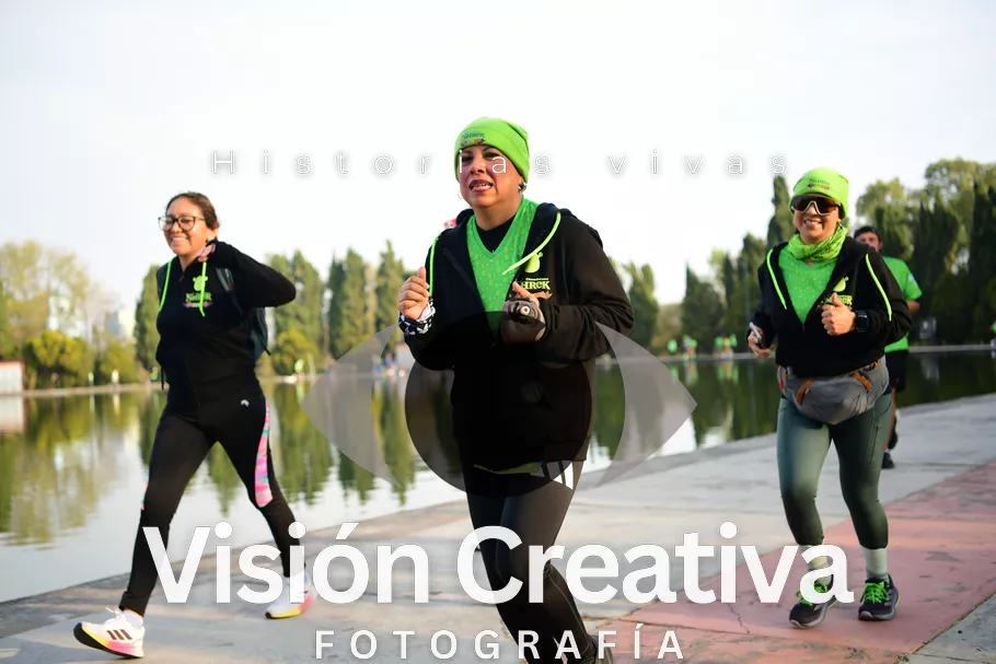 Foto del evento Shrek - CDMX 2026