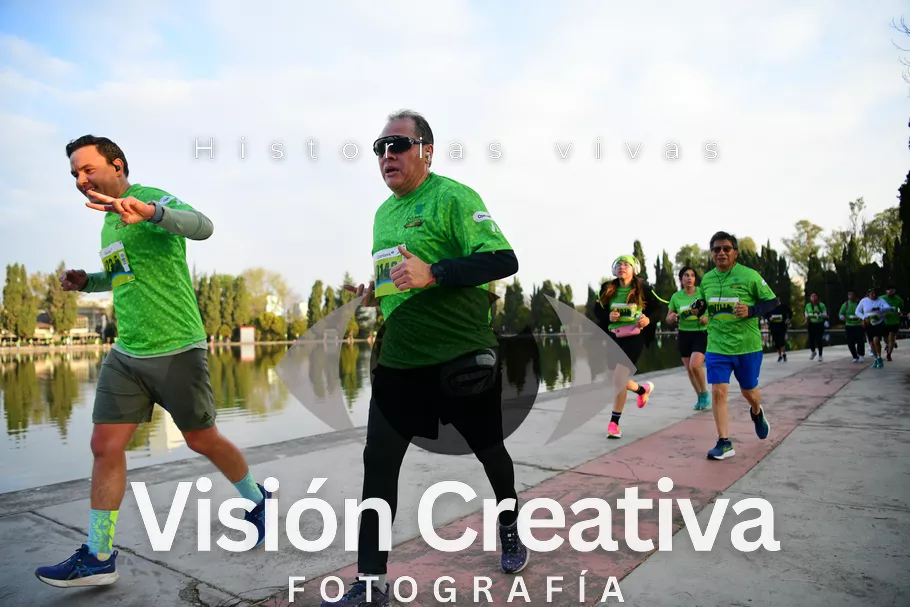Foto del evento Shrek - CDMX 2026