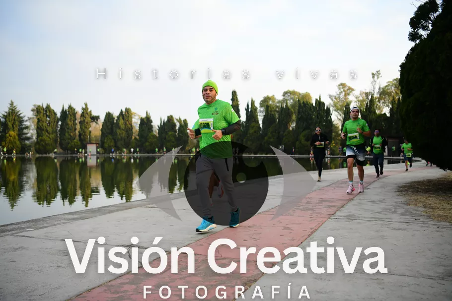 Foto del evento Shrek - CDMX 2026