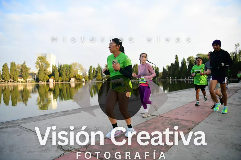 Foto del evento Shrek - CDMX 2026