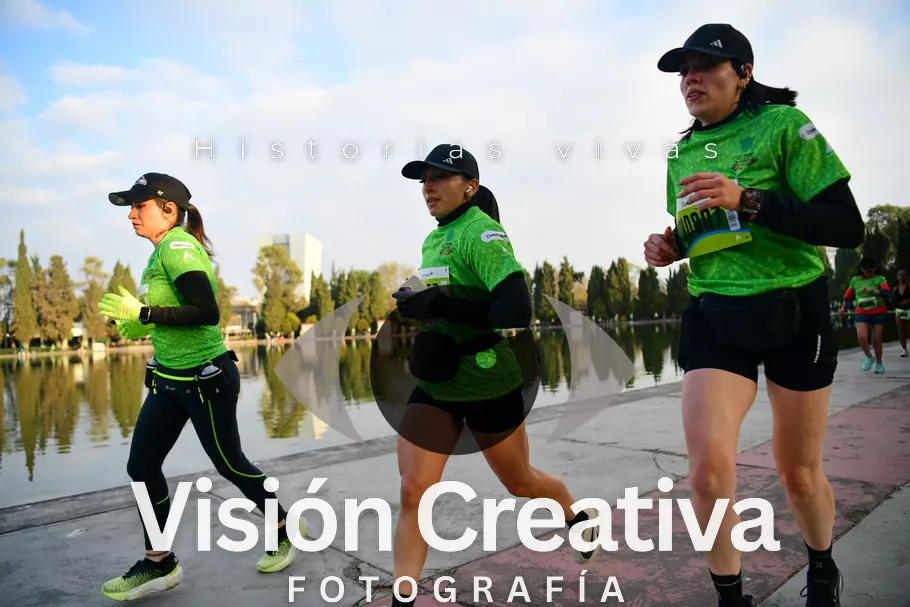 Foto del evento Shrek - CDMX 2026