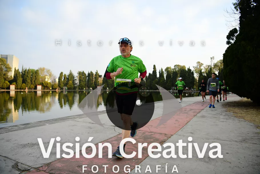 Foto del evento Shrek - CDMX 2026